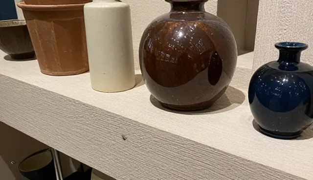 商务配套服务:适用条件与常见问题处理方法